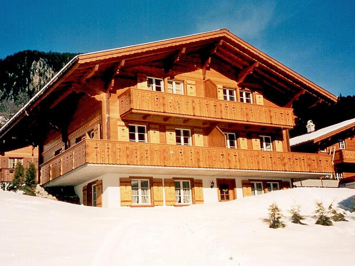 Apartment Chalet Mittelhorn-1 Grindelwald Buitenkant foto