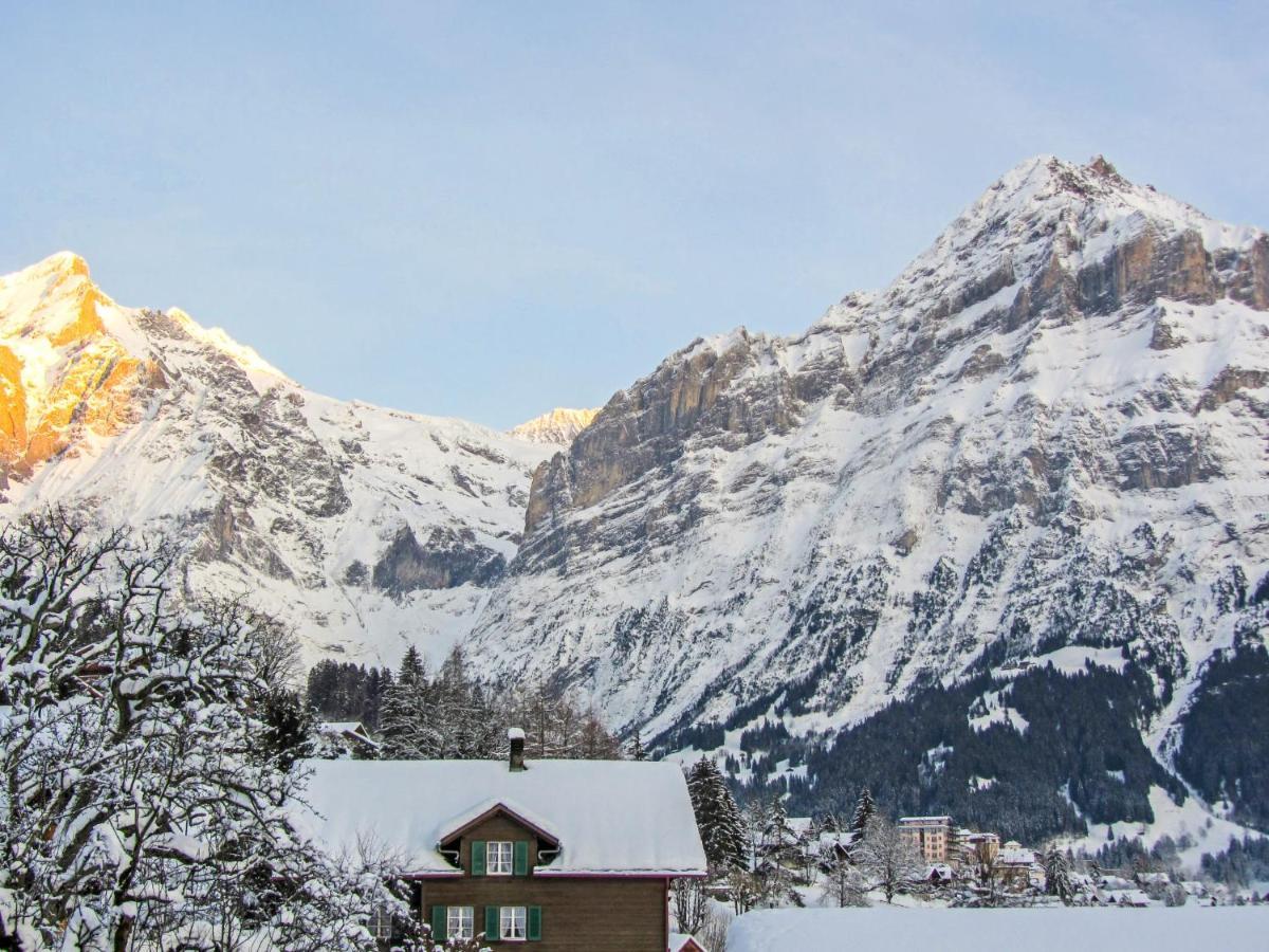 Apartment Chalet Mittelhorn-1 Grindelwald Buitenkant foto